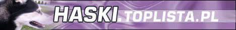 Toplista Husky